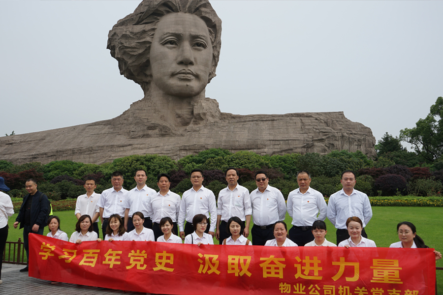 学习百年党史，汲取奋进力量
