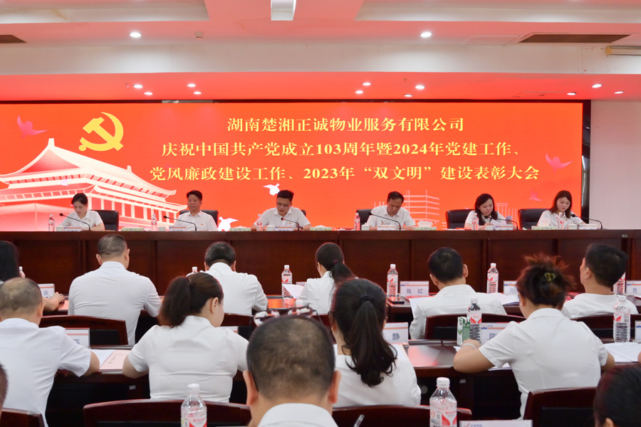 党建引领风帆劲  砥砺前行阔步走